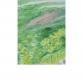 作品名稱：春綠芳嬌 細部照