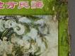 臺灣地方民謠4唱片右半部細節