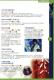 好客連年2008~09　臺灣客家博覽會－導覽手冊51
