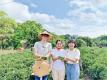 示範照片：到三峽茶園體驗採茶，深度認識茶與客家的故事。