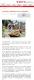 4、新北桐花開了 藝桐幸福小旅行4月6日開放報名–台灣新生報