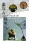 集復古極現代