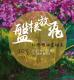 盤根放飛－LOGO