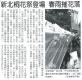 新北桐花祭登場 春雨摧花落