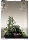 迎春花神典花漾第29頁