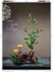 迎春花神典花漾第41頁