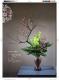 迎春花神典花漾第43頁