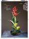 迎春花神典花漾第50頁