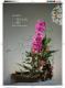 迎春花神典花漾第80頁