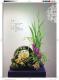 迎春花神典花漾第100頁