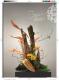 迎春花神典花漾第104頁