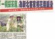 「一桐採茶趣」為新北桐花祭暖身