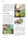 新北好客都40期_頁面_77