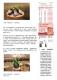 1101125肖裡纏花 新北客園創作成果展爭妍鬥豔 - PChome 新聞_頁面_2