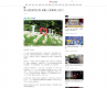 新北客家桐花祭 規劃七條賞桐小旅行－中華新聞雲