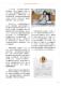 Vol.41期_頁面_25