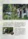 Vol.41期_頁面_82