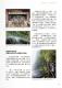 Vol.41期_頁面_83