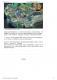 新北哈克柴寶愛玩客  互動玩翻每一刻 - 民眾澎湖報_頁面_2