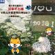 新冠肺炎疫情，排桐花為臺灣加油打氣