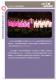 2011新北市客家社團歌謠比賽－成果專輯書19
