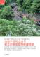 新北好客都36期第68頁圖片，共96頁
