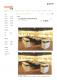 1101125生肖主題集結多媒材 同展繽紛各相爭妍鬥豔 - match生活網_頁面_1