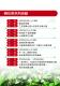 104年好客桐花‧青春飛揚－賞桐手冊6