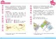 104年新北市義民爺客家文化節－活動手冊11
